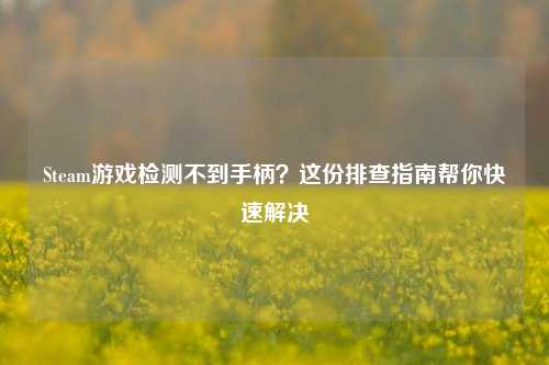 Steam游戏检测不到手柄？这份排查指南帮你快速解决
