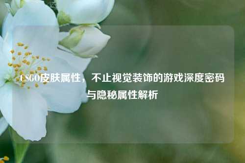 CSGO皮肤属性,不止视觉装饰的游戏深度密码与隐秘属性解析