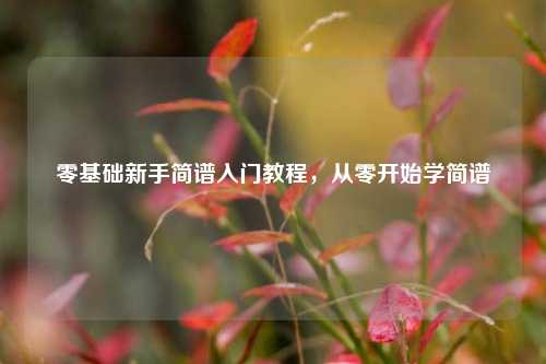 零基础新手简谱入门教程,从零开始学简谱