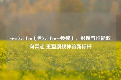 vivo X70 Pro（含X70 Pro+参数），影像与性能双向奔赴 重塑旗舰体验新标杆