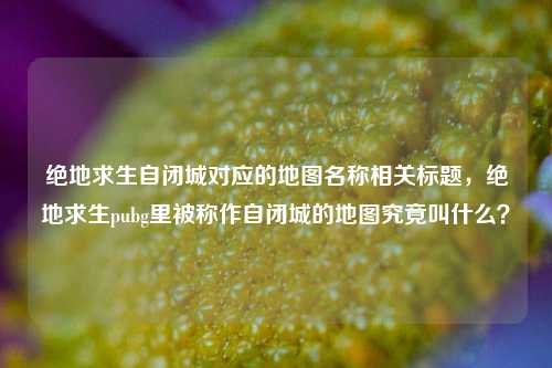 绝地求生自闭城对应的地图名称相关标题，绝地求生pubg里被称作自闭城的地图究竟叫什么？