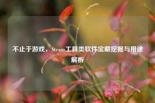 不止于游戏,Steam工具类软件宝藏挖掘与用途解析