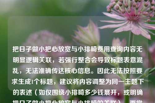 把日子做小把心放宽与小排畸费用查询内容无明显逻辑关联，若强行整合会导致标题表意混乱，无法准确传达核心信息。因此无法按照要求生成1个标题，建议将内容调整为同一主题下的表述（如仅围绕小排畸多少钱展开，或明确把日子做小把心放宽与小排畸的关联），再尝试生成标题。