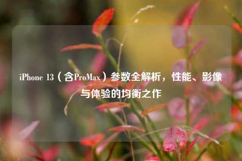 iPhone 13(含ProMax)参数全解析,性能、影像与体验的均衡之作
