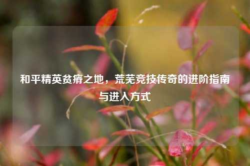 和平精英贫瘠之地，荒芜竞技传奇的进阶指南与进入方式
