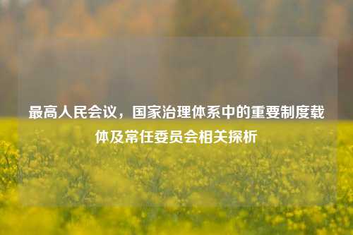最高人民会议，国家治理体系中的重要制度载体及常任委员会相关探析
