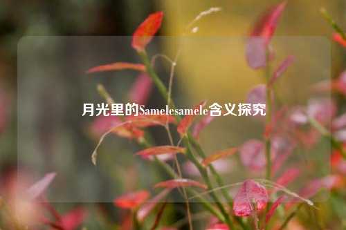 月光里的Samelesamele含义探究