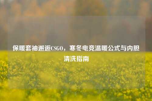 保暖套袖邂逅CSGO,寒冬电竞温暖公式与内胆清洗指南