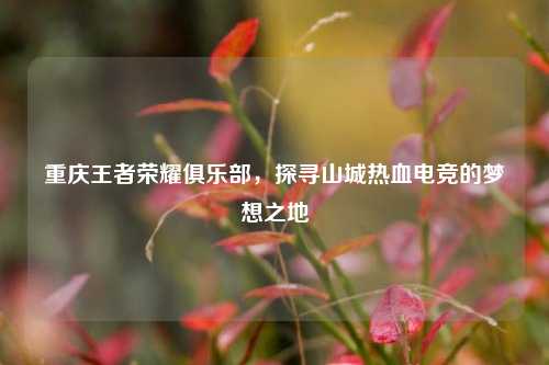 重庆王者荣耀俱乐部，探寻山城热血电竞的梦想之地