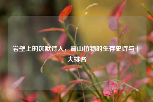 岩壁上的沉默诗人,高山植物的生存史诗与十大排名