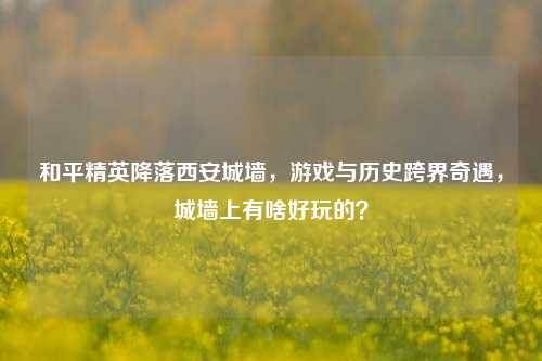 和平精英降落西安城墙，游戏与历史跨界奇遇，城墙上有啥好玩的？