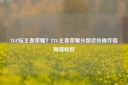 TGP玩王者荣耀?TTG王者荣耀分部这份操作指南请收好