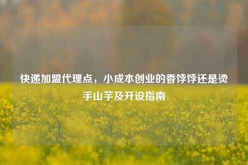 快递加盟代理点,小成本创业的香饽饽还是烫手山芋及开设指南