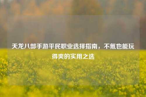 天龙八部手游平民职业选择指南,不氪也能玩得爽的实用之选