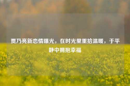 贾乃亮新恋情曝光,在时光里重拾温暖,于平静中拥抱幸福