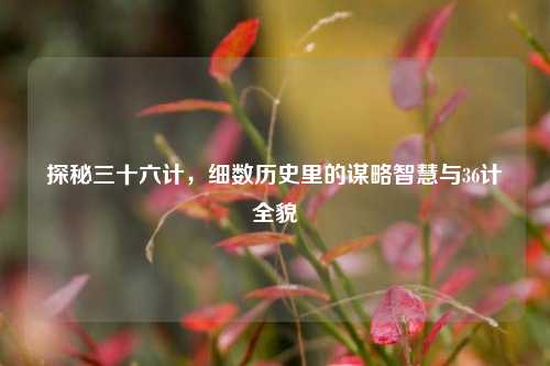 探秘三十六计，细数历史里的谋略智慧与36计全貌