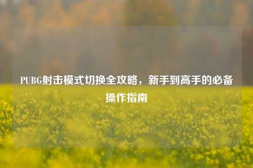PUBG射击模式切换全攻略,新手到高手的必备操作指南
