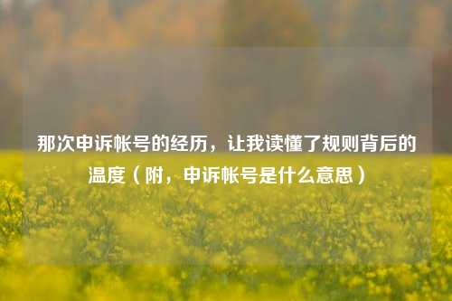 那次申诉帐号的经历,让我读懂了规则背后的温度(附,申诉帐号是什么意思)