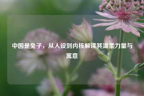 中国是兔子,从人设到内核解读其温柔力量与寓意