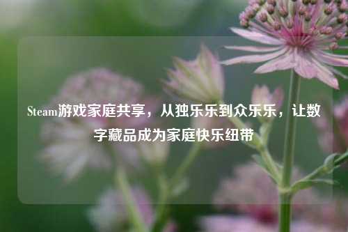 Steam游戏家庭共享,从独乐乐到众乐乐,让数字藏品成为家庭快乐纽带