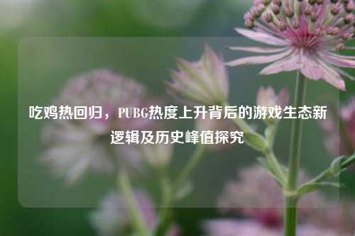 吃鸡热回归,PUBG热度上升背后的游戏生态新逻辑及历史峰值探究