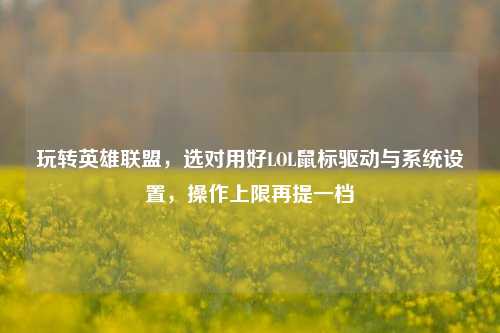 玩转英雄联盟,选对用好LOL鼠标驱动与系统设置,操作上限再提一档