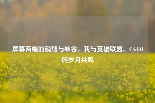 屏幕两端的硝烟与峡谷,我与英雄联盟、CS:GO的岁月共鸣