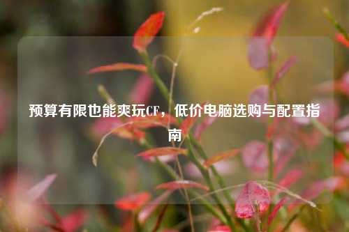 预算有限也能爽玩CF,低价电脑选购与配置指南