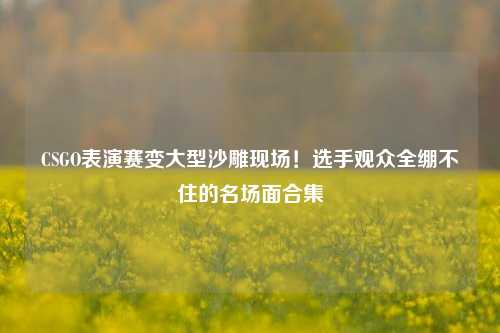 CSGO表演赛变大型沙雕现场！选手观众全绷不住的名场面合集