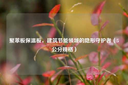 聚苯板保温板,建筑节能领域的隐形守护者(5公分规格)