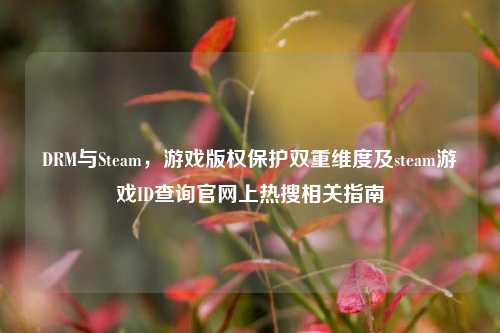 DRM与Steam,游戏版权保护双重维度及steam游戏ID查询官网上热搜相关指南