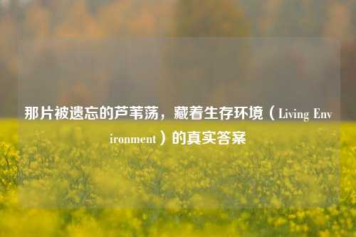 那片被遗忘的芦苇荡，藏着生存环境（Living Environment）的真实答案