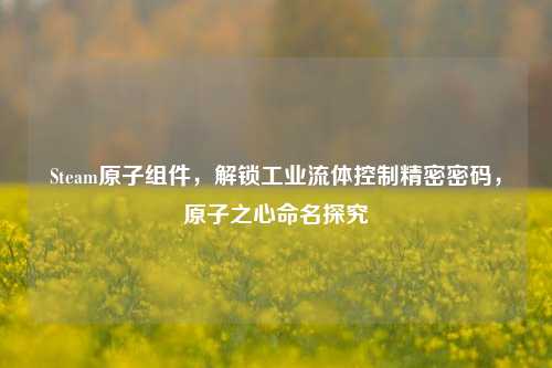 Steam原子组件,解锁工业流体控制精密密码,原子之心命名探究