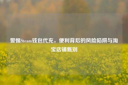 警惕Steam钱包代充，便利背后的风险陷阱与淘宝店铺甄别
