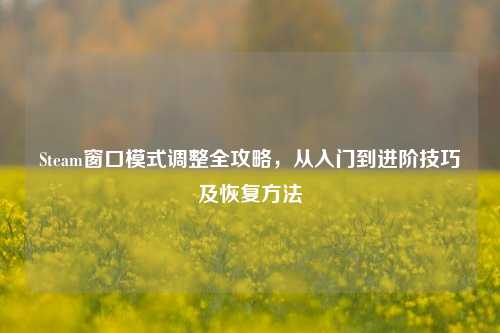Steam窗口模式调整全攻略,从入门到进阶技巧及恢复方法