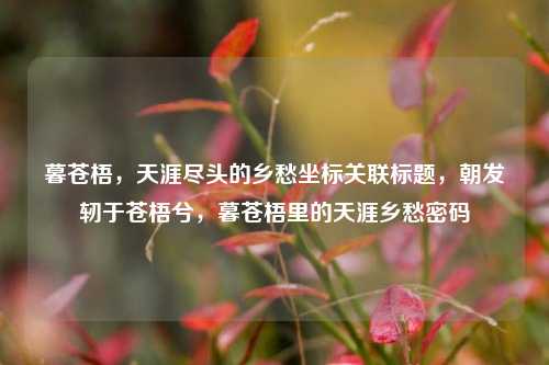 暮苍梧,天涯尽头的乡愁坐标关联标题,朝发轫于苍梧兮,暮苍梧里的天涯乡愁密码