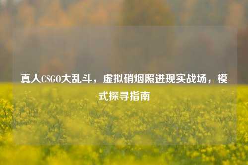 真人CSGO大乱斗,虚拟硝烟照进现实战场,模式探寻指南