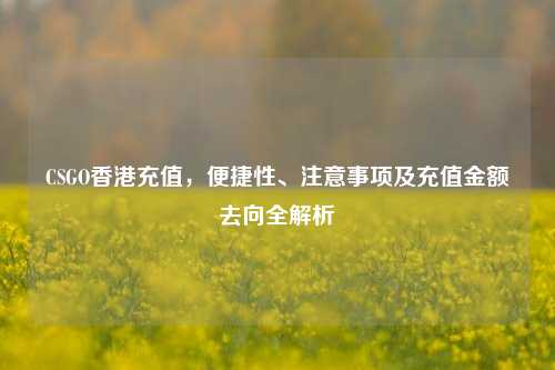 CSGO香港充值,便捷性、注意事项及充值金额去向全解析