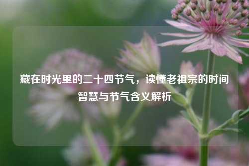 藏在时光里的二十四节气,读懂老祖宗的时间智慧与节气含义解析