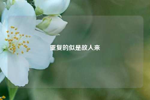 重复的似是故人来