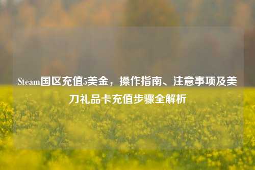 Steam国区充值5美金,操作指南、注意事项及美刀礼品卡充值步骤全解析