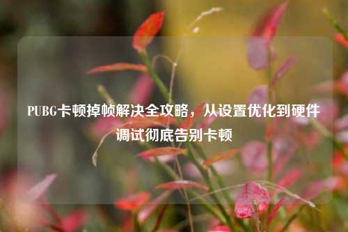 PUBG卡顿掉帧解决全攻略，从设置优化到硬件调试彻底告别卡顿