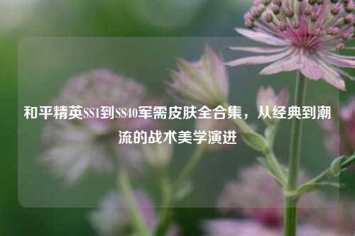 和平精英SS1到SS40军需皮肤全合集,从经典到潮流的战术美学演进