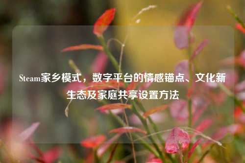 Steam家乡模式,数字平台的情感锚点、文化新生态及家庭共享设置方法