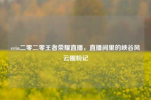 erin二零二零王者荣耀直播,直播间里的峡谷风云圈粉记