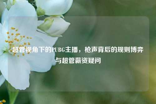 超管视角下的PUBG主播,枪声背后的规则博弈与超管薪资疑问