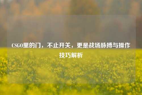 CSGO里的门，不止开关，更是战场脉搏与操作技巧解析