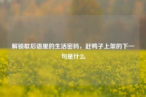 解锁歇后语里的生活密码,赶鸭子上架的下一句是什么