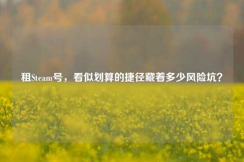 租Steam号,看似划算的捷径藏着多少风险坑?