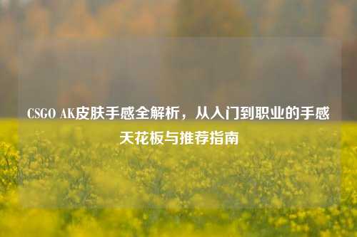 CSGO AK皮肤手感全解析,从入门到职业的手感天花板与推荐指南